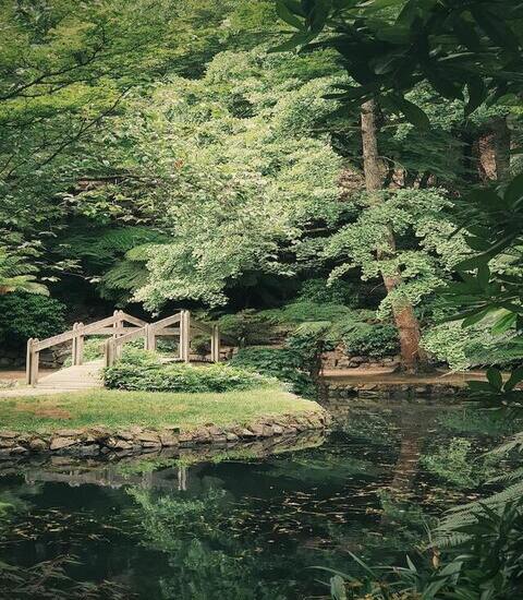 Lake on Garden