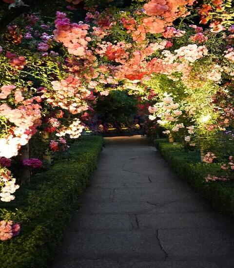 Garden`s Entrance